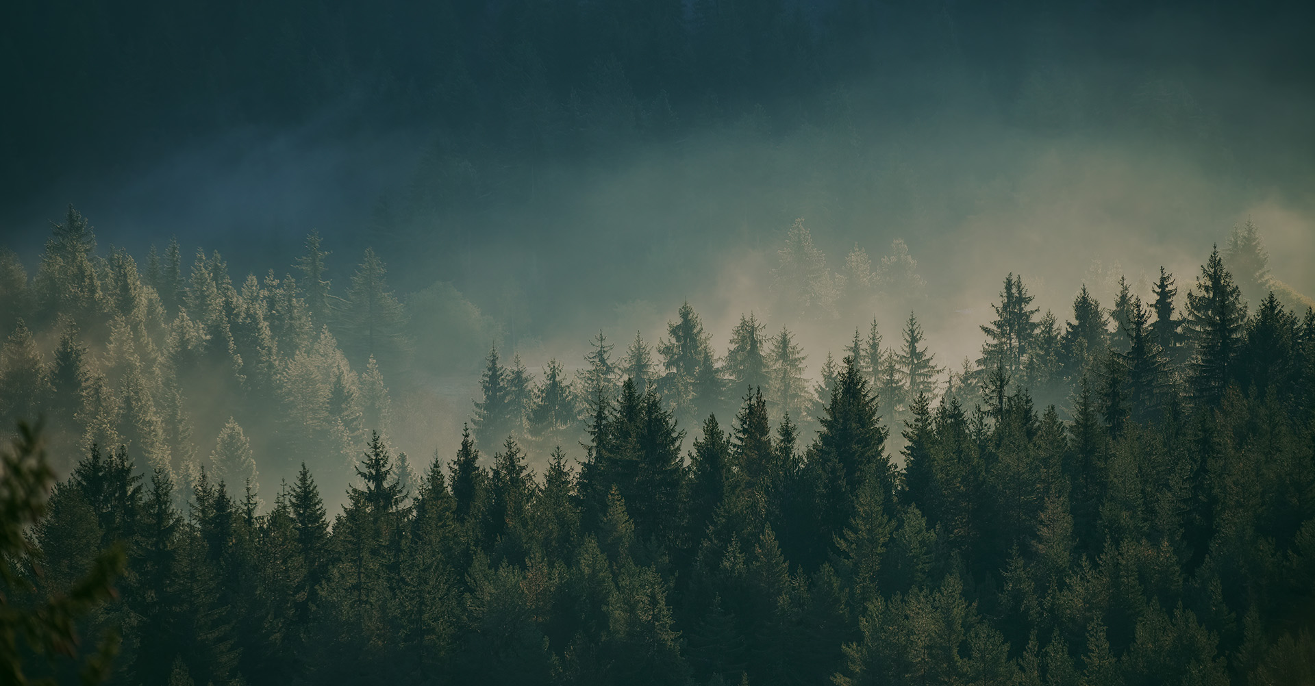 background-image